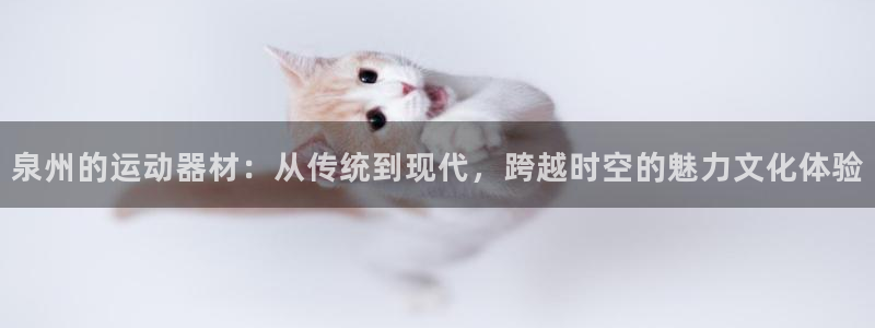 海南意昂体育4：泉州的运动器材：从传统到现代，跨越时