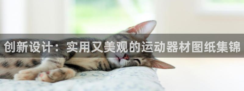 意昂体育4平台APP：创新设计：实用又美观的运动器材
