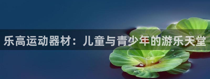 意昂体育4平台是正规平台吗：乐高运动器材：儿童与青少