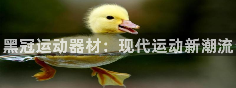 海南意昂体育4：黑冠运动器材：现代运动新潮流