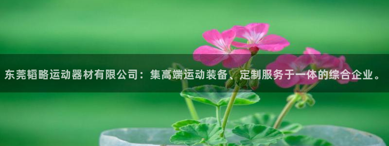意昂体育4平台注册要钱吗：东莞韬略运动器材有限公司：