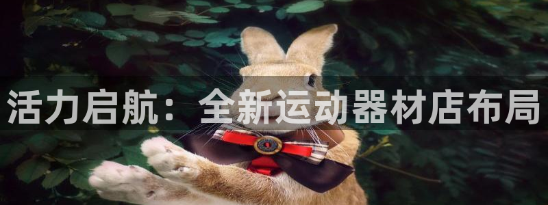 意昂平台体育：活力启航：全新运动器材店布局