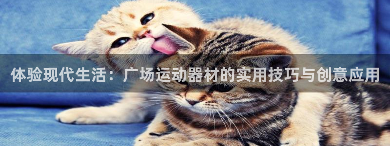 海南意昂体育4：体验现代生活：广场运动器材的实用技巧