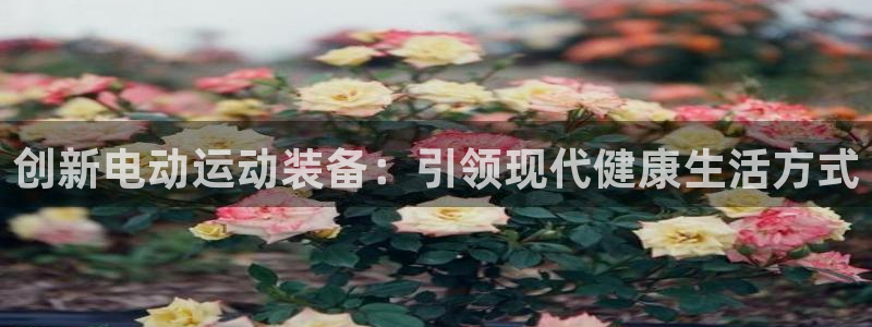 意昂4集团官网首页：创新电动运动装备：引领现代健康生活方式