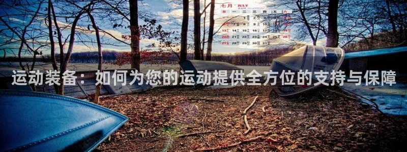 意昂4新能源
