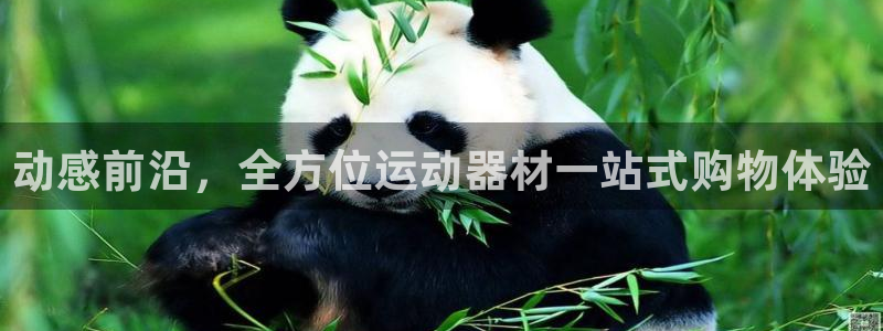 注册意昂4：动感前沿，全方位运动器材一站式购物体验