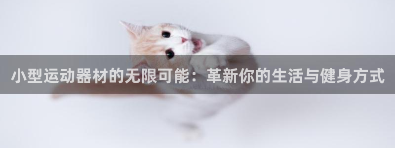 意昂体育4招商电话号码是多少号：小型运动器材的无限可