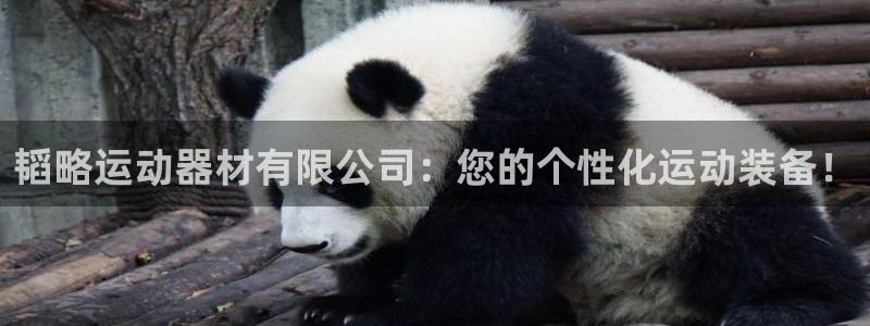 意昂体育4平台注册要钱吗：韬略运动器材有限公司：您的