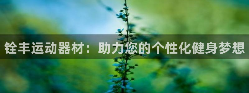 意昂4集团简介：铨丰运动器材：助力您的个性化健身梦想