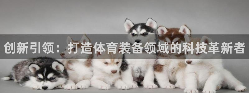 意昂体育4平台注册要钱吗安全吗：创新引领：打造体育装