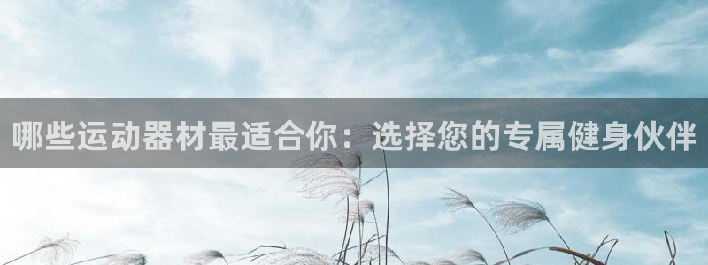 意昂4开户：哪些运动器材最适合你：选择您的专属健身伙