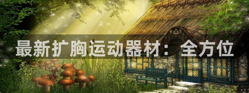 意昂体育4娱乐：最新扩胸运动器材：全方位