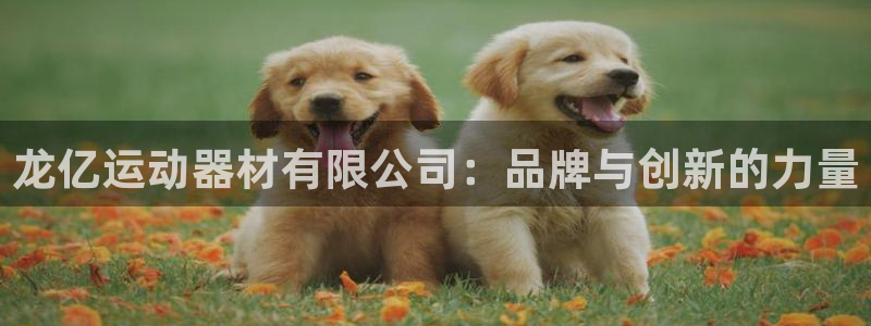 意昂体育4平台是正规平台吗知乎：龙亿运动器材有限公司：品牌与