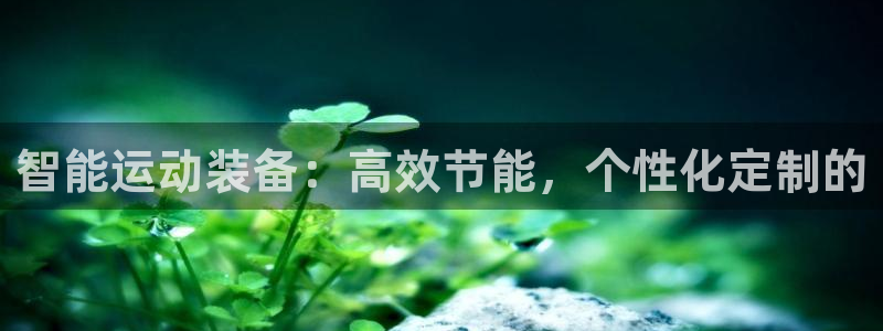 意昂4娱乐首页官网下载：智能运动装备：高效节能，个性