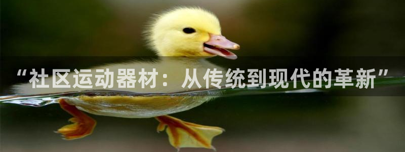 意昂体育4平台注册要钱吗安全吗：“社区运动器材：从传