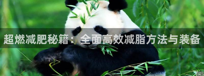 意昂体育4招商电话是多少号码：超燃减肥秘籍：全面高效