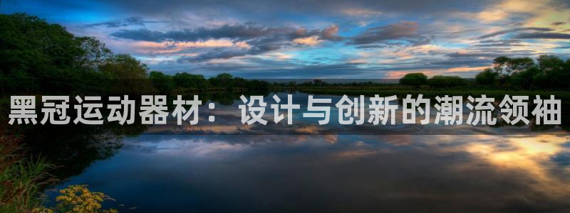 意昂4官方：黑冠运动器材：设计与创新的潮流领袖