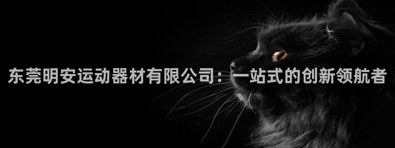 意昂体育4平台是正规平台吗知乎：东莞明安运动器材有限