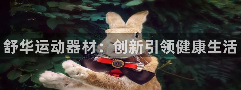 意昂4代理：舒华运动器材：创新引领健康生活