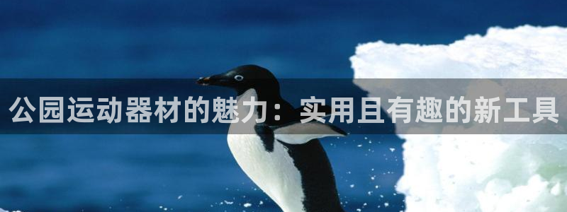 意昂体育4官方客服电话：公园运动器材的魅力：实用且有