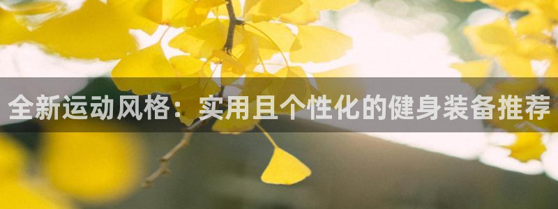 意昂体育4平台是正规平台吗安全吗：全新运动风格：实用