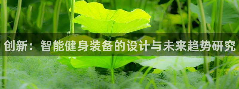 意昂4科技：创新：智能健身装备的设计与未来趋势研究