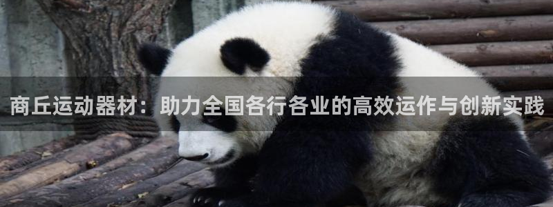 意昂体育4平台假的吗是真的吗吗：商丘运动器材：助力全