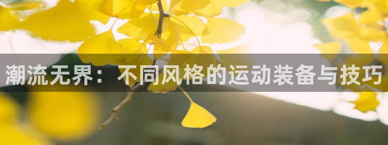 意昂体育4招商电话地址查询：潮流无界：不同风格的运动