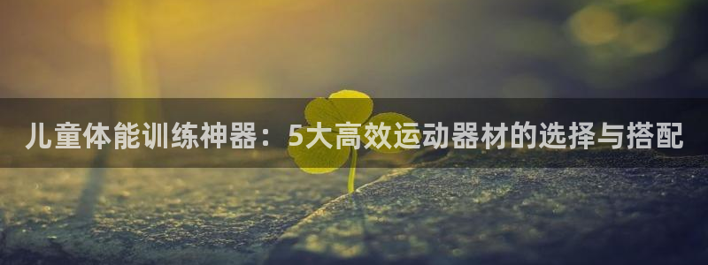 意昂4娱乐代理怎么样：儿童体能训练神器：5大高效运动器材的选