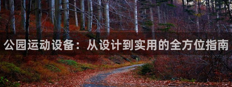 意昂体育4平台注册流程图：公园运动设备：从设计到实用的全方位