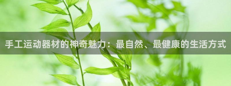 意昂体育4平台注册要钱吗：手工运动器材的神奇魅力：最自然、最