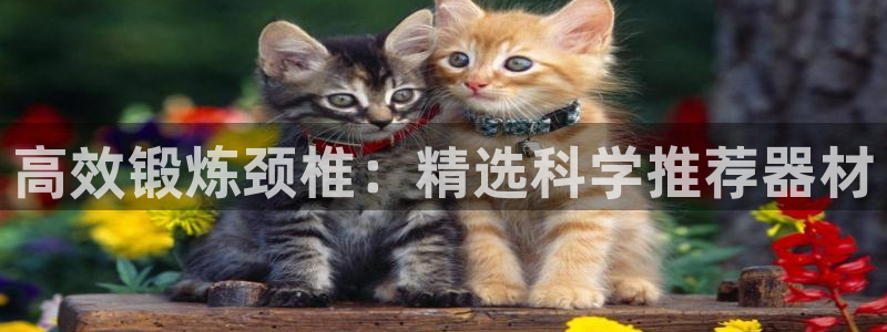 意昂体育4开户：高效锻炼颈椎：精选科学推荐器材