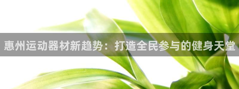 意昂4科技：惠州运动器材新趋势：打造全民参与的健身天堂