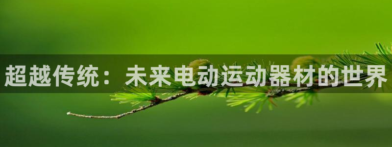 意昂4集团官网首页网址：超越传统：未来电动运动器材的世界