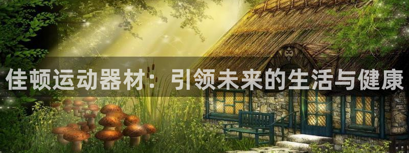 意昂体育4是干嘛的公司：佳顿运动器材：引领未来的生活与健康