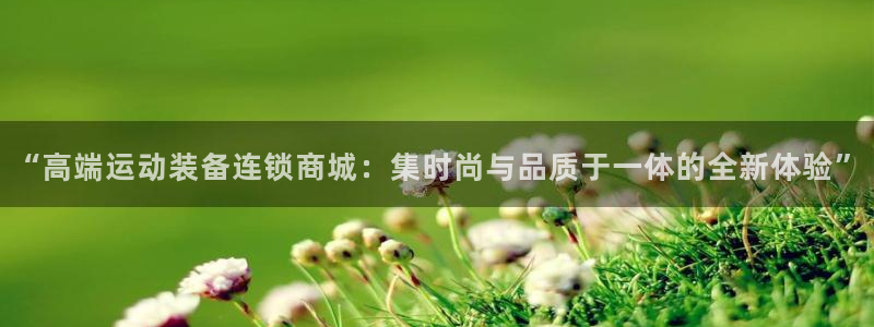 意昂体育4：“高端运动装备连锁商城：集时尚与品质于一体的全新