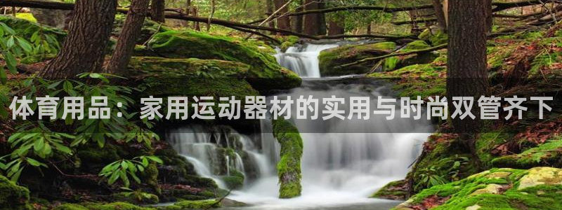 意昂体育4平台注册要钱吗安全吗：体育用品：家用运动器材的实用