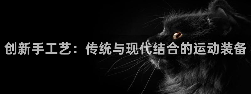 意昂体育4官方客服电话：创新手工艺：传统与现代结合的