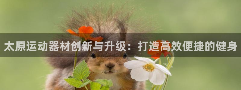 意昂体育4招商电话号码：太原运动器材创新与升级：打造