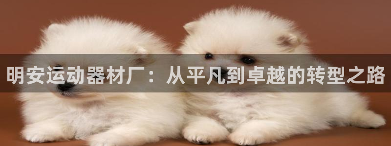 意昂4集团官网网址：明安运动器材厂：从平凡到卓越的转型之路