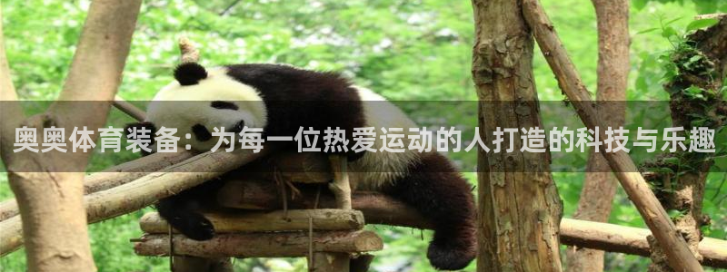海南意昂体育4：奥奥体育装备：为每一位热爱运动的人打