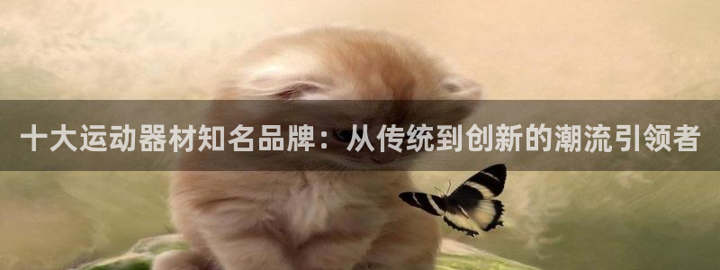 意昂4娱乐平台：十大运动器材知名品牌：从传统到创新的潮流引领