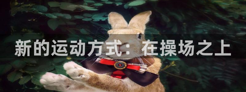 意昂体育4招商：新的运动方式：在操场之上