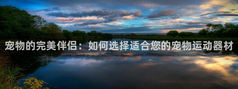 意昂体育4平台假的吗是真的吗：宠物的完美伴侣：如何选