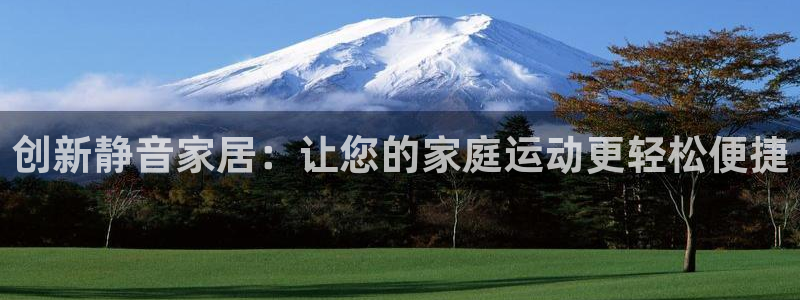 意昂体育4平台注册：创新静音家居：让您的家庭运动更轻松便捷