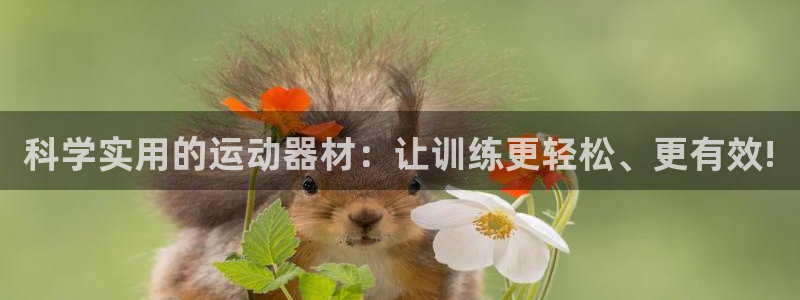 意昂体育4娱乐：科学实用的运动器材：让训练更轻松、更