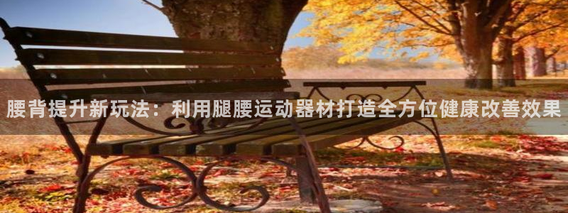 意昂体育4是干嘛的公司：腰背提升新玩法：利用腿腰运动器材打造