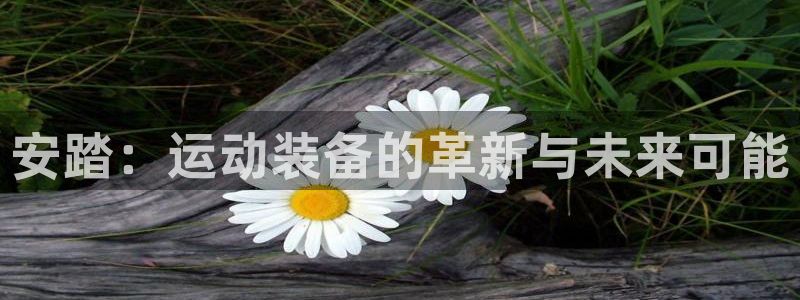 意昂4娱乐40996：安踏：运动装备的革新与未来可能