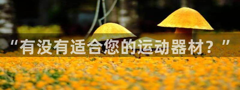 意昂体育4平台假的吗是真的吗：“有没有适合您的运动器