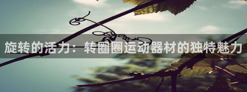 意昂4开户：旋转的活力：转圈圈运动器材的独特魅力